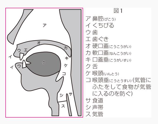発音 図